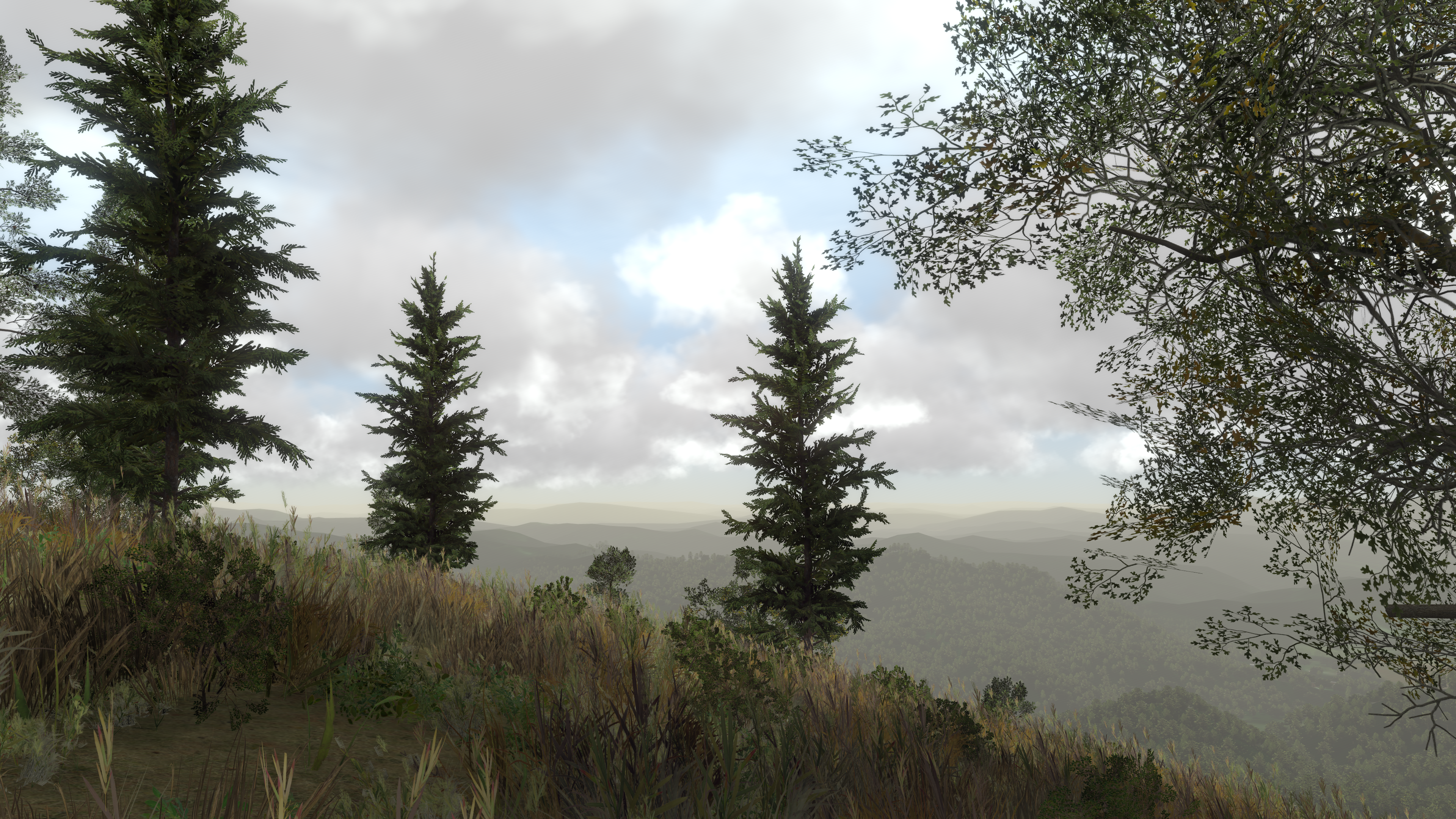 terrain1